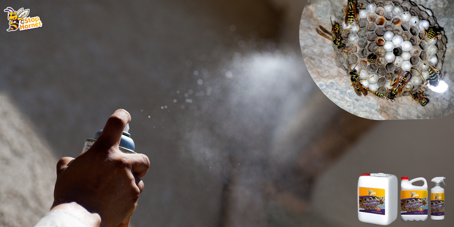 Wirksame Dauer der Behandlung gegen Hornissen und Wespen: Alles, was Sie wissen müssen.