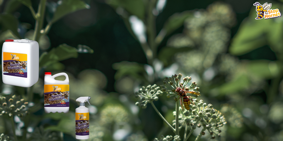 Ist die Behandlung gegen Hornissen und Wespen umweltfreundlich?